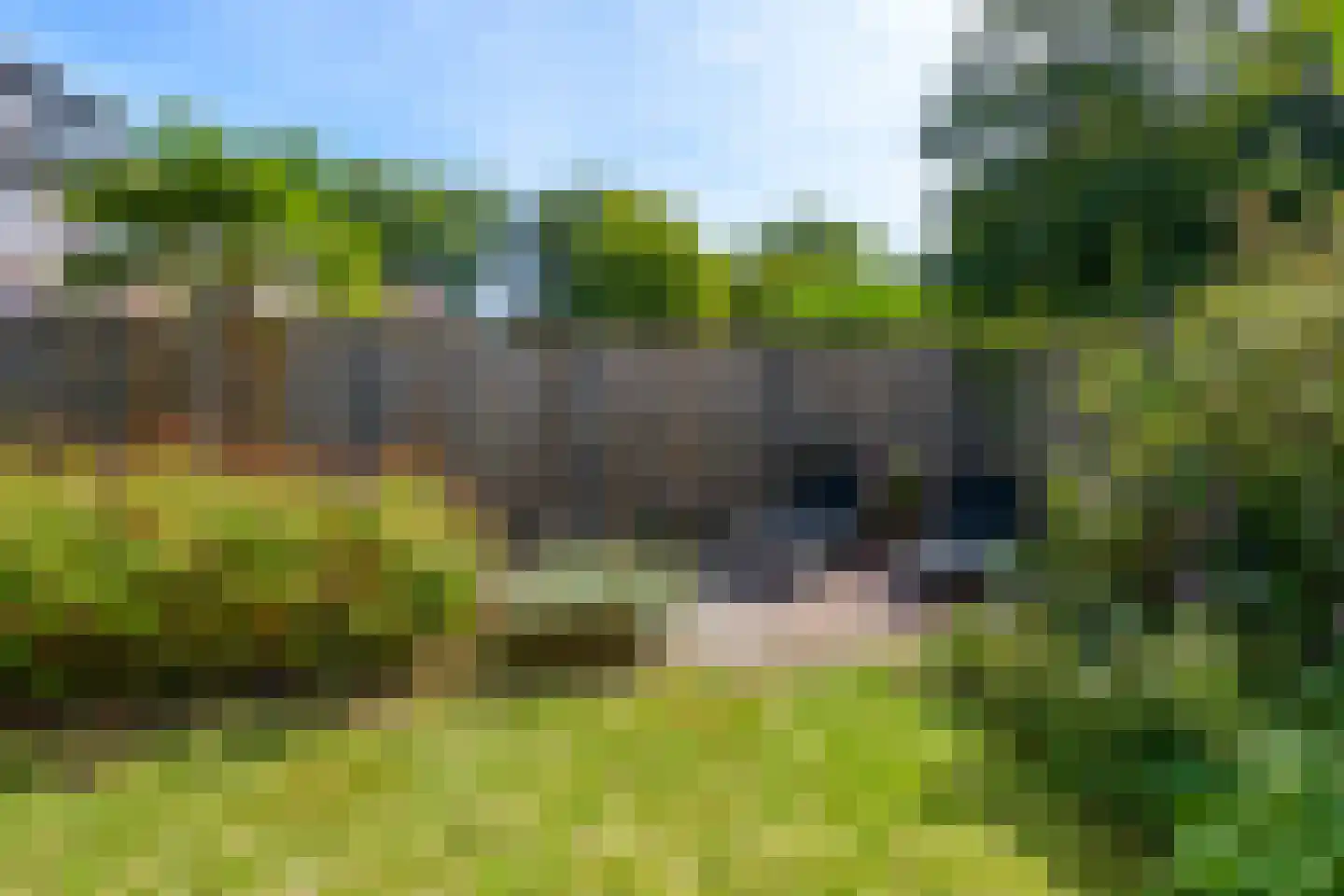 Schepenenveld 151 Apeldoorn thumbnail 25