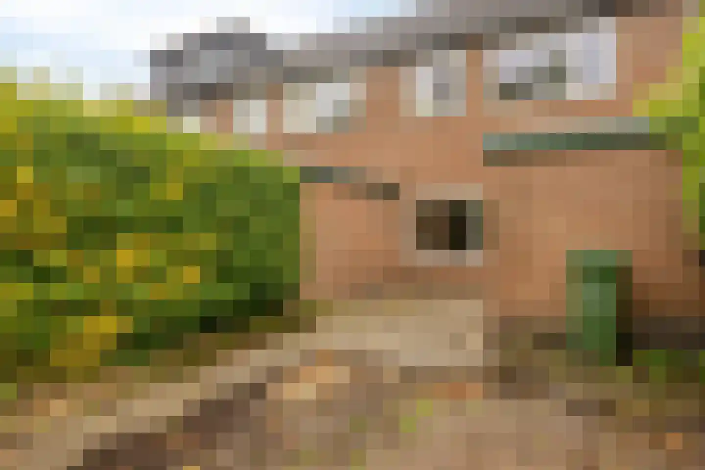 Schepenenveld 155 Apeldoorn thumbnail 22