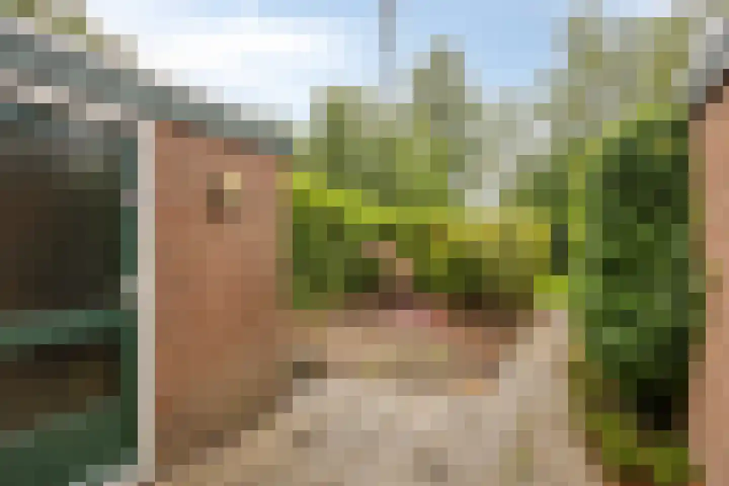 Schepenenveld 155 Apeldoorn thumbnail 23
