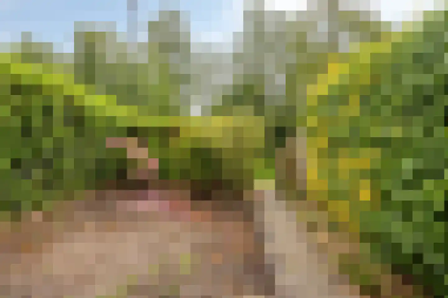 Schepenenveld 155 Apeldoorn thumbnail 24