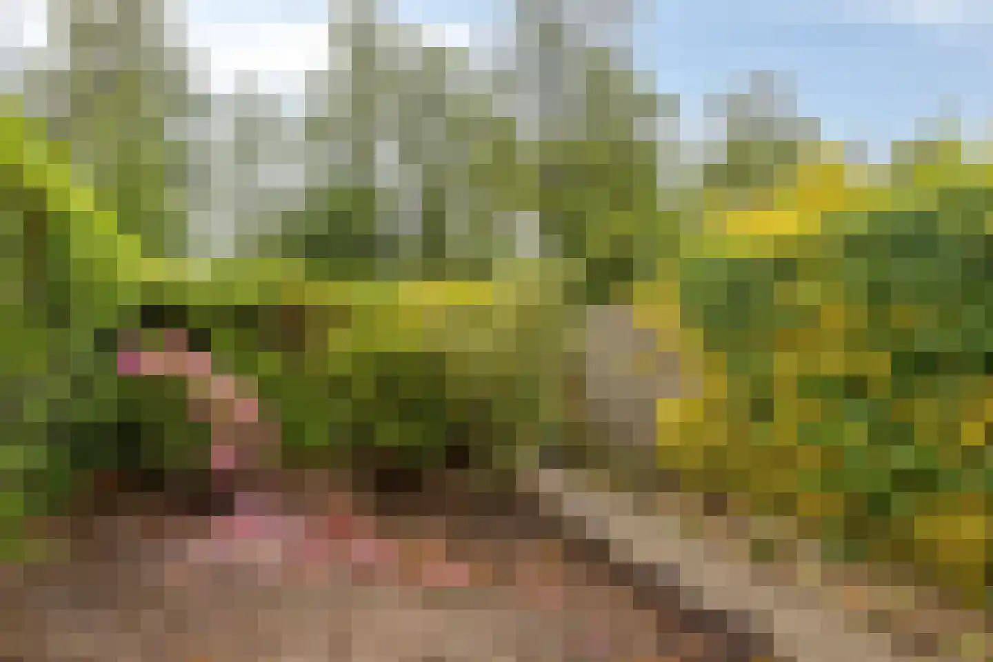 Schepenenveld 155 Apeldoorn thumbnail 25