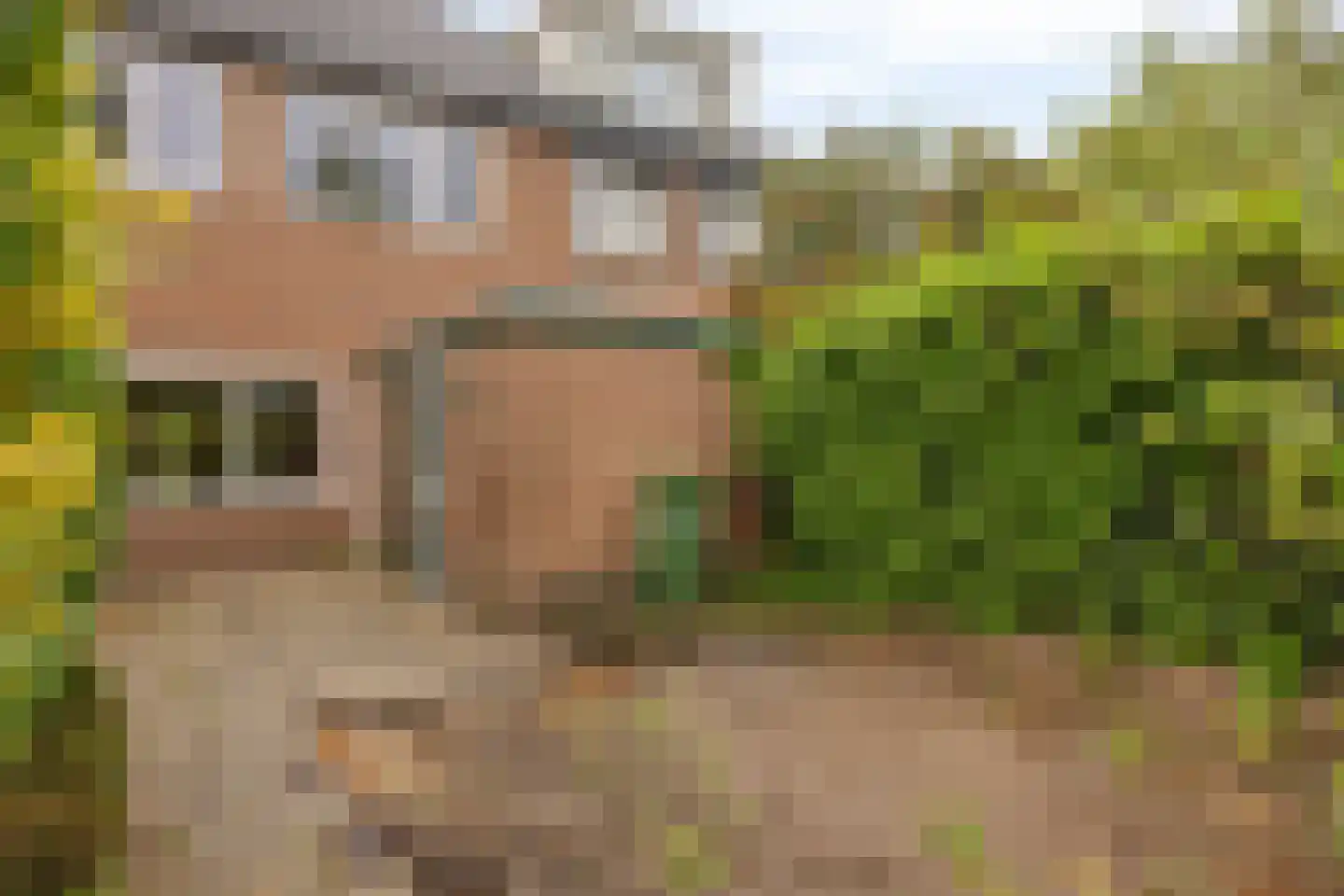 Schepenenveld 155 Apeldoorn thumbnail 26