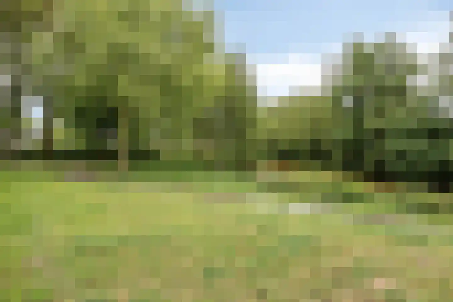 Schepenenveld 155 Apeldoorn thumbnail 31