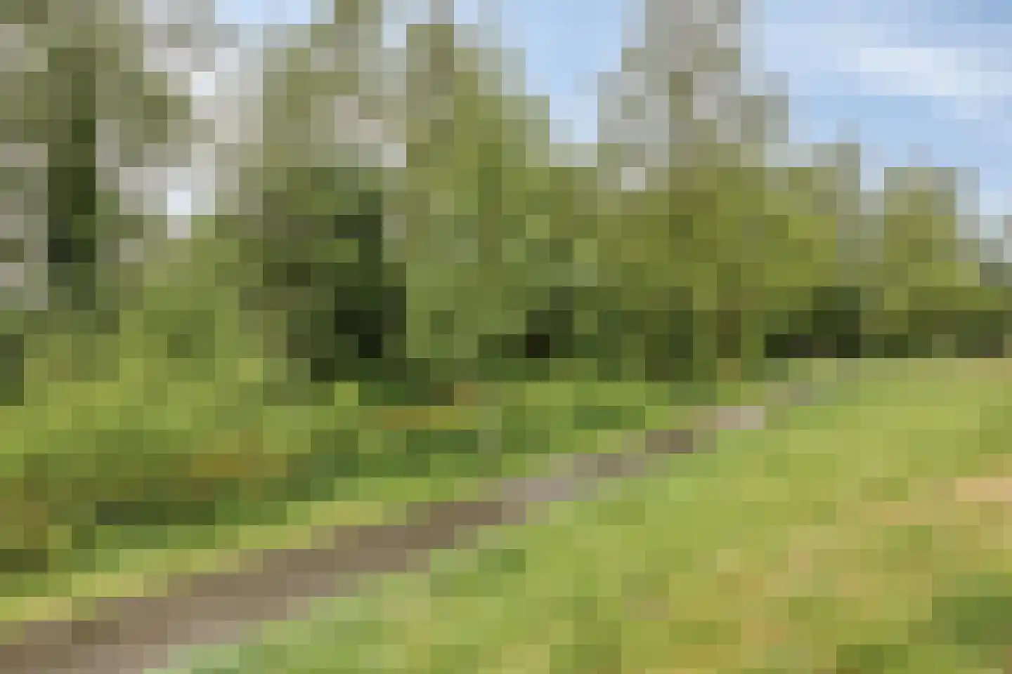 Schepenenveld 155 Apeldoorn thumbnail 32