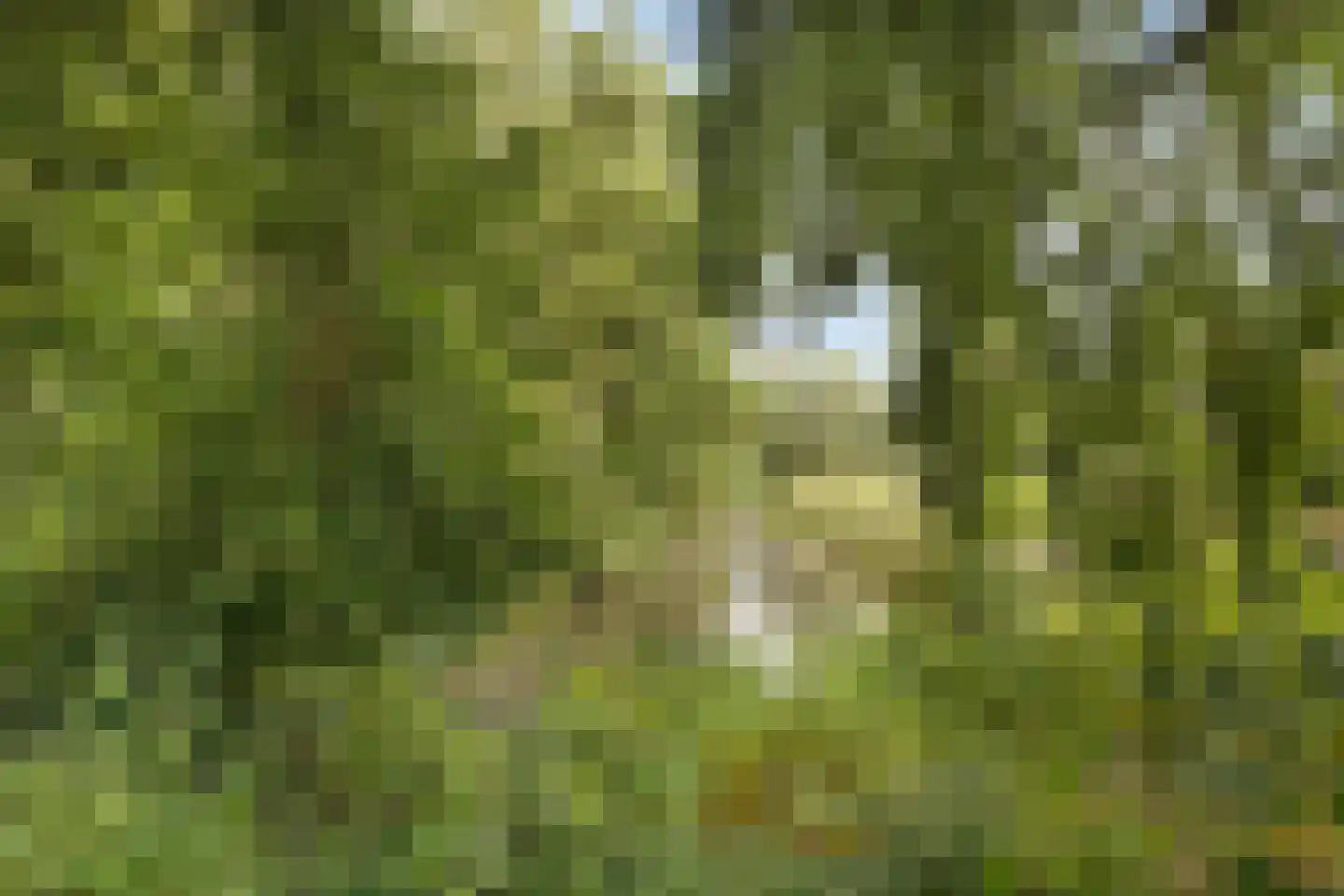 Schepenenveld 201 Apeldoorn thumbnail 31