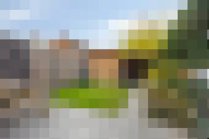 Schepenenveld 202 Apeldoorn thumbnail 28