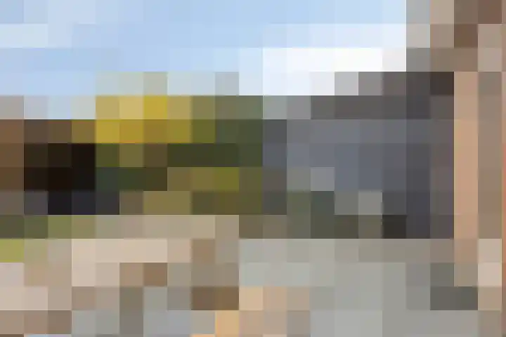 Schepenenveld 202 Apeldoorn thumbnail 29