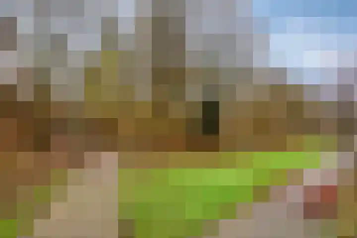 Schepenenveld 202 Apeldoorn thumbnail 35
