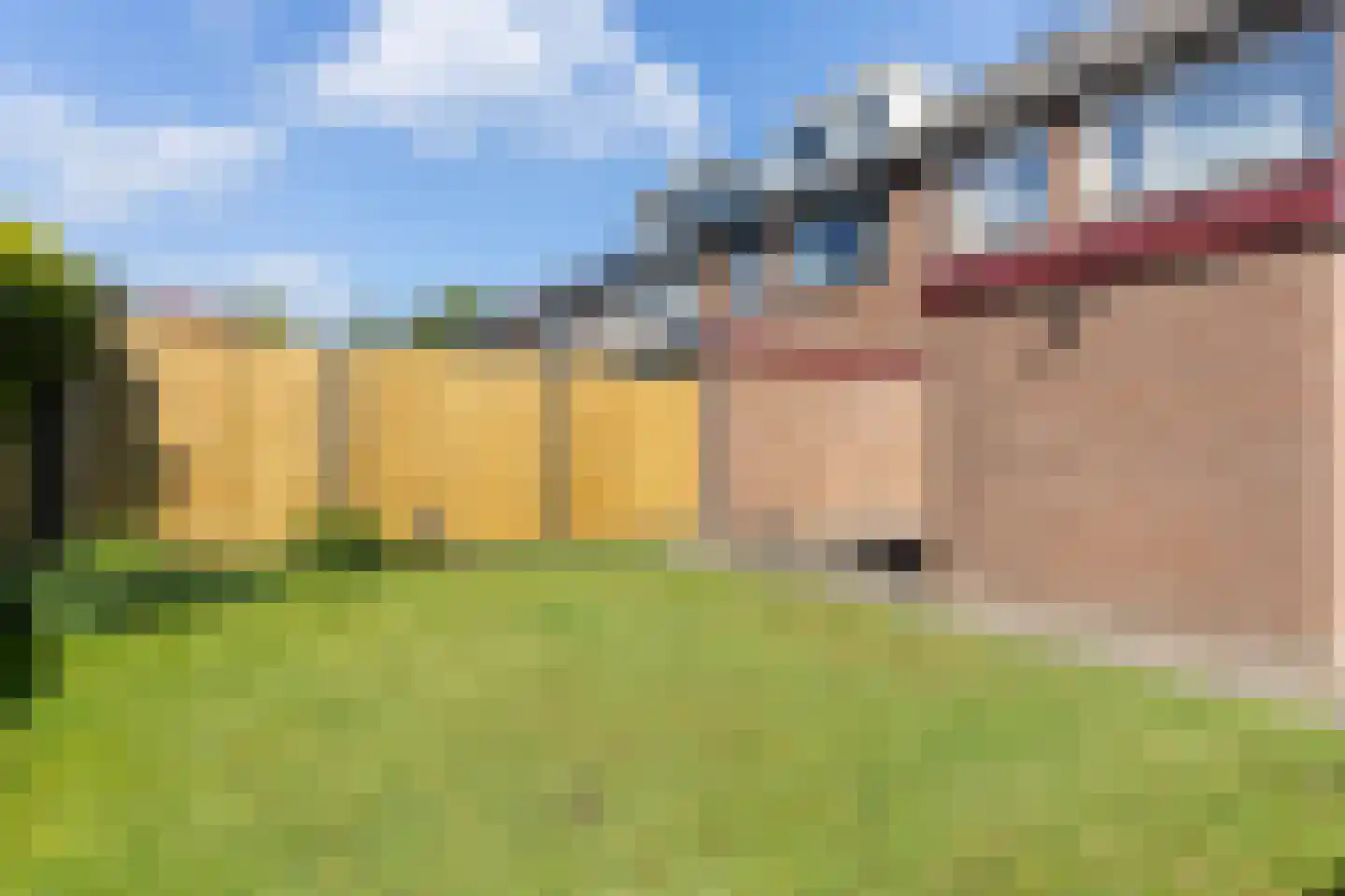 Schepenenveld 213 Apeldoorn thumbnail 25