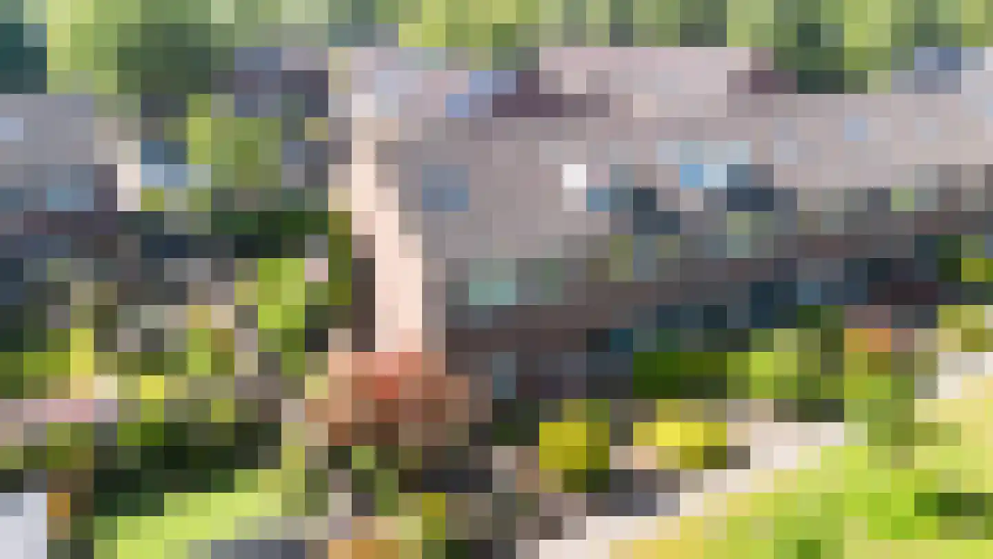 Schepenenveld 213 Apeldoorn thumbnail 30