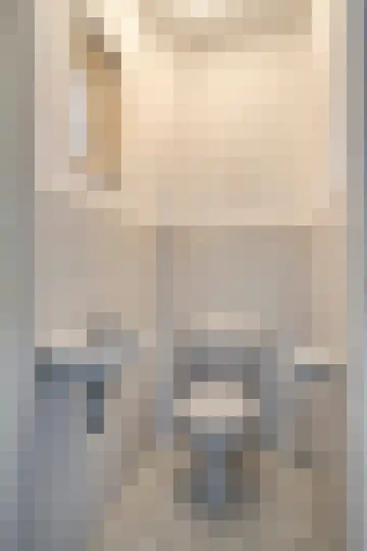 Schepengraaf 37 Ospel thumbnail 20