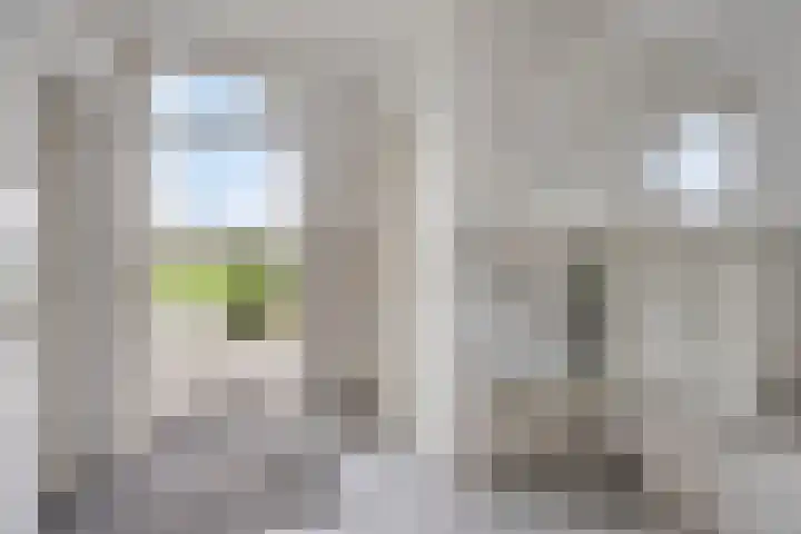 Schepengraaf 37 Ospel thumbnail 22
