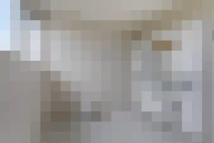 Schepengraaf 37 Ospel thumbnail 35
