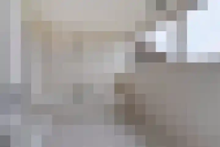 Schepengraaf 37 Ospel thumbnail 36
