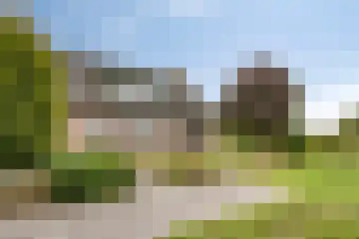 Schepengraaf 37 Ospel thumbnail 37