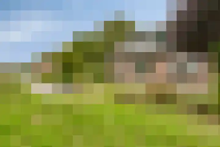 Schepengraaf 37 Ospel thumbnail 38