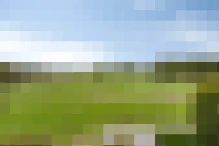 Schepengraaf 37 Ospel thumbnail 39