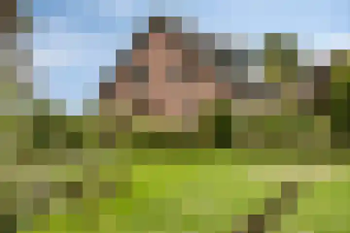 Schepengraaf 37 Ospel thumbnail 4