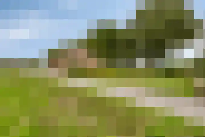 Schepengraaf 37 Ospel thumbnail 40