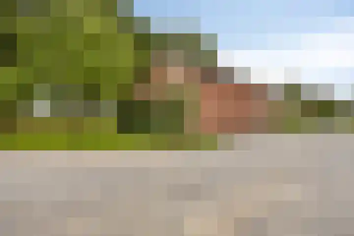 Schepengraaf 37 Ospel thumbnail 41