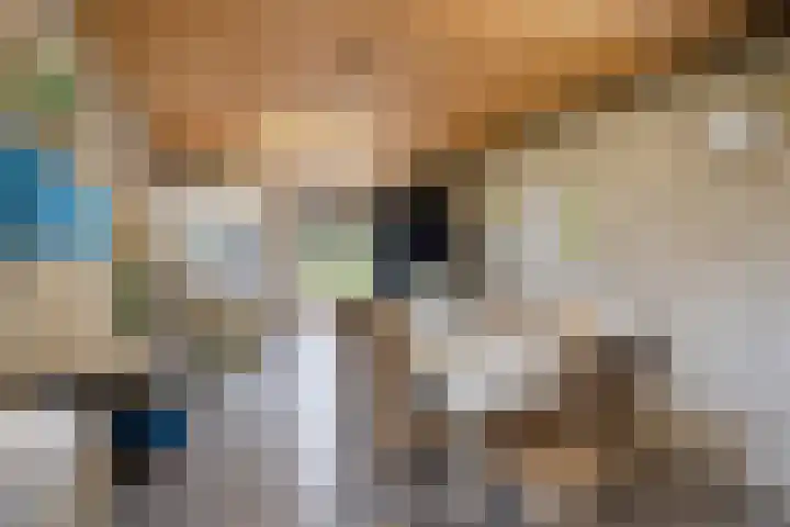 Schepengraaf 37 Ospel thumbnail 44