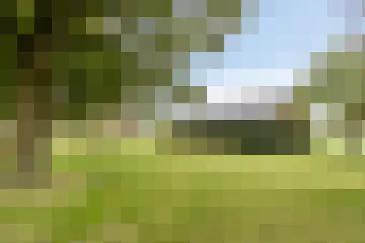 Schepengraaf 37 Ospel thumbnail 46
