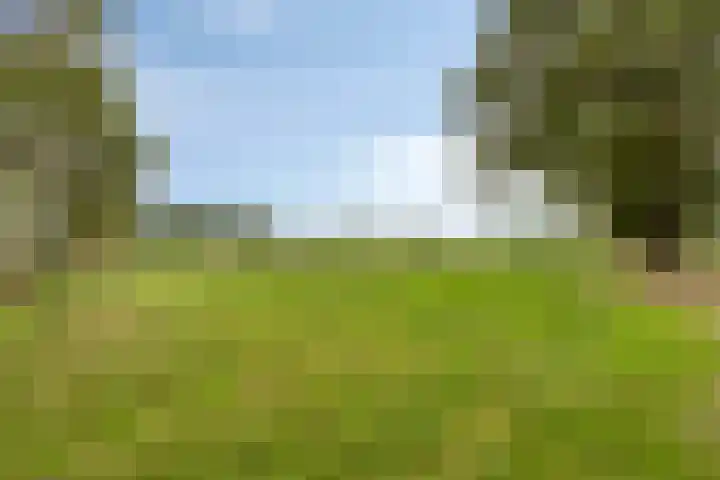 Schepengraaf 37 Ospel thumbnail 47
