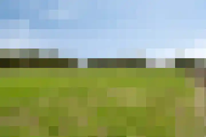 Schepengraaf 37 Ospel thumbnail 48