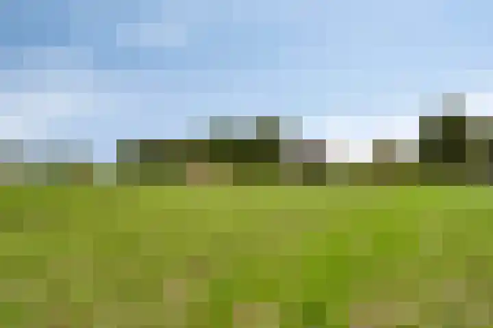 Schepengraaf 37 Ospel thumbnail 49