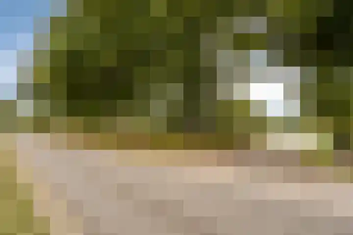 Schepengraaf 37 Ospel thumbnail 5