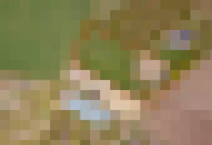 Schepengraaf 37 Ospel thumbnail 50