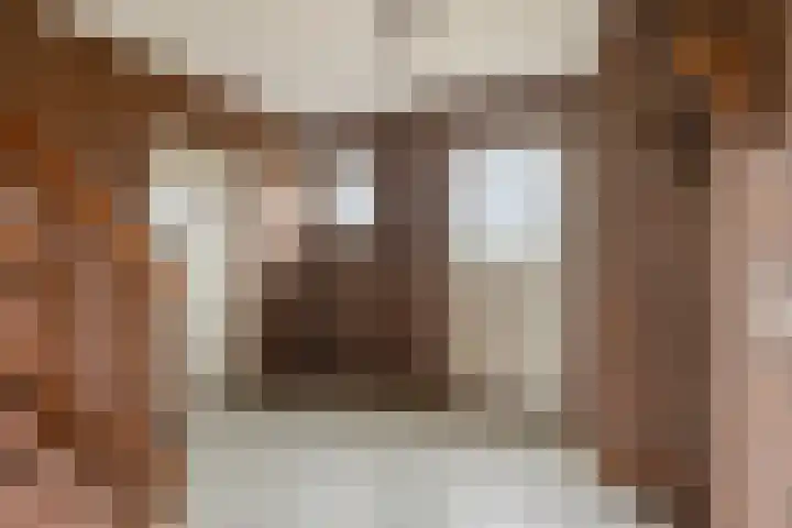Schepengraaf 37 Ospel thumbnail 6