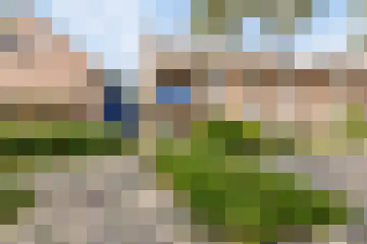 Schepenhoek 109 Uden thumbnail 24