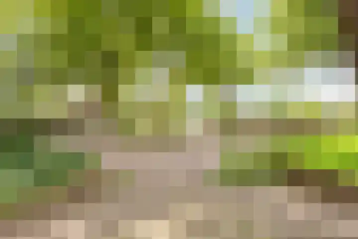 Schepenhoek 109 Uden thumbnail 27