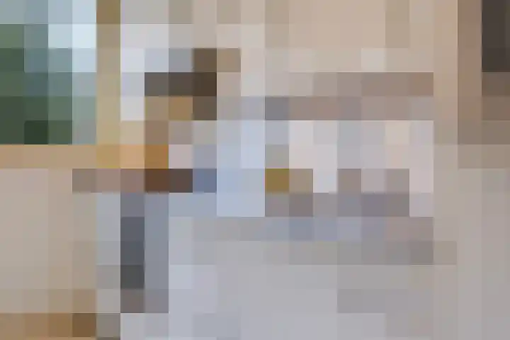 Schepenhoek 109 Uden thumbnail 29