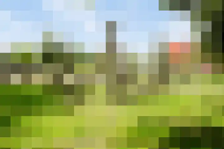 Schepenhoek 109 Uden thumbnail 29
