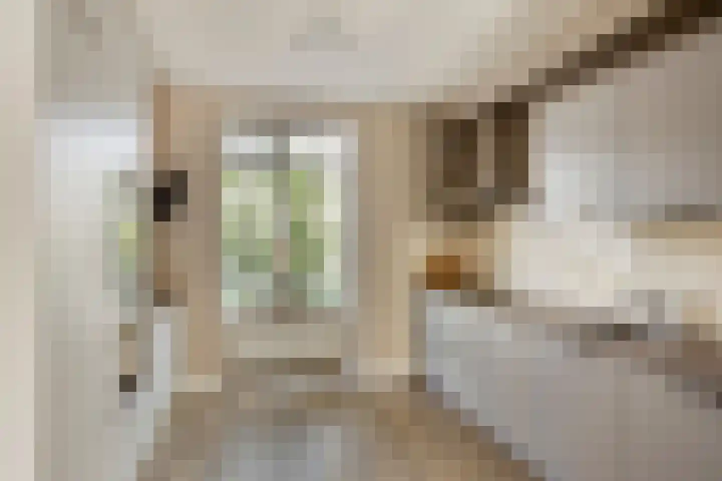 Schepenhoek 113 Uden thumbnail 13