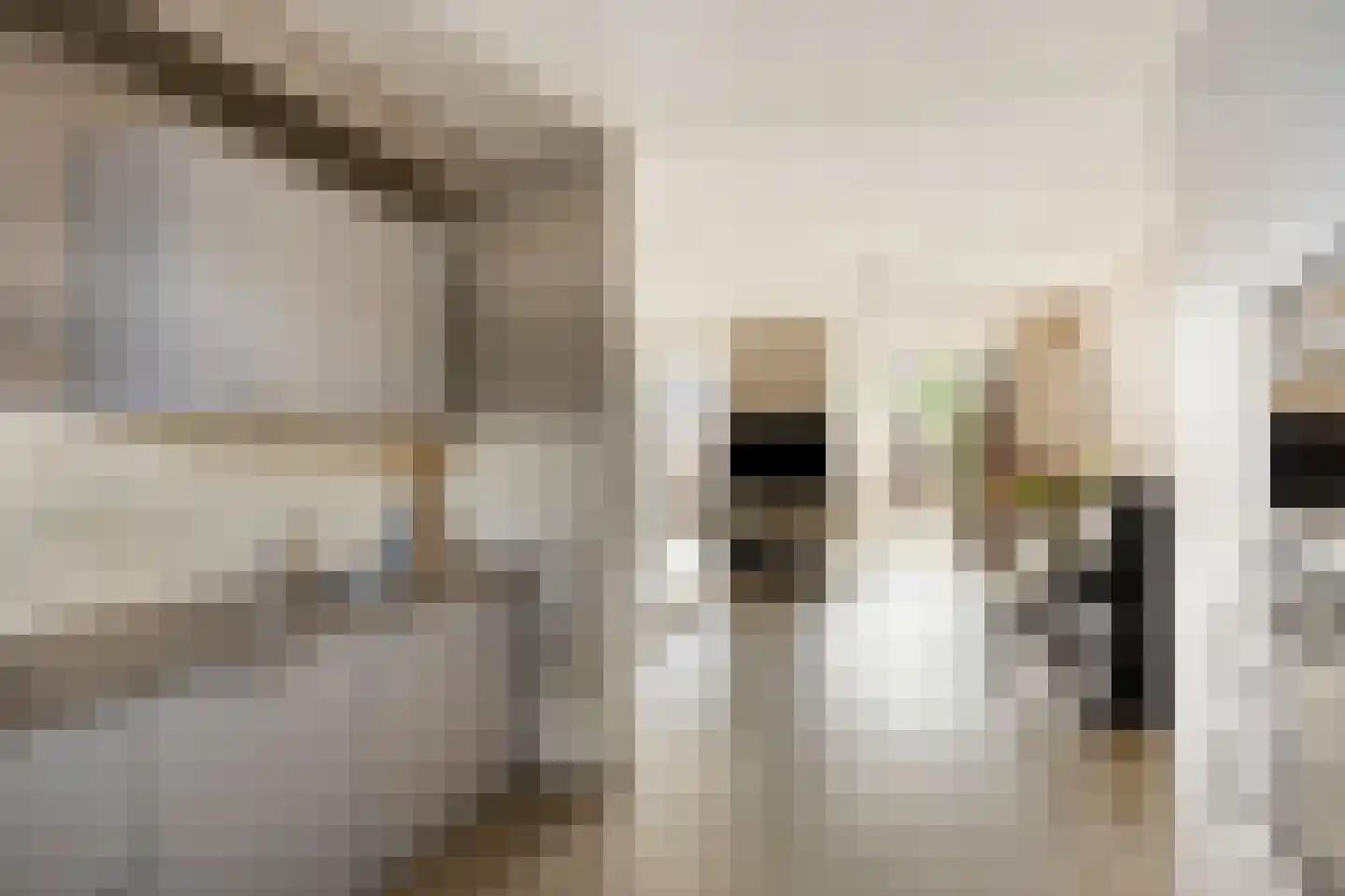 Schepenhoek 113 Uden thumbnail 14