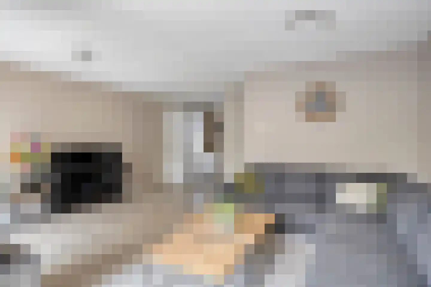 Schepenhoek 113 Uden thumbnail 9