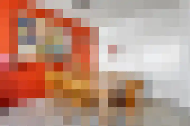 Schepenhoek 145 Uden thumbnail 8