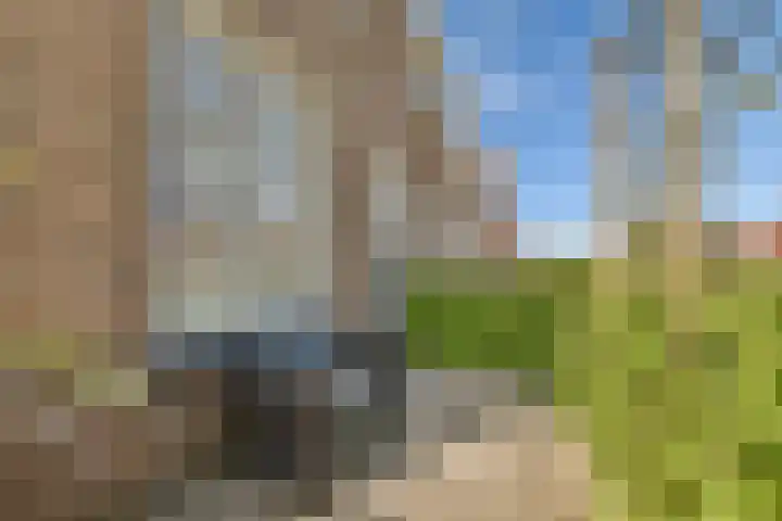 Schepenhoek 213 Uden thumbnail 11