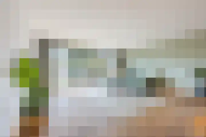 Schepenhoek 213 Uden thumbnail 11