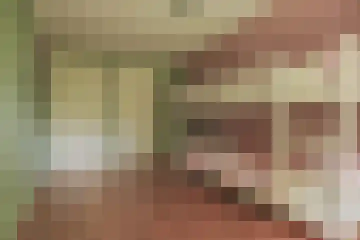 Schepenhoek 213 Uden thumbnail 15