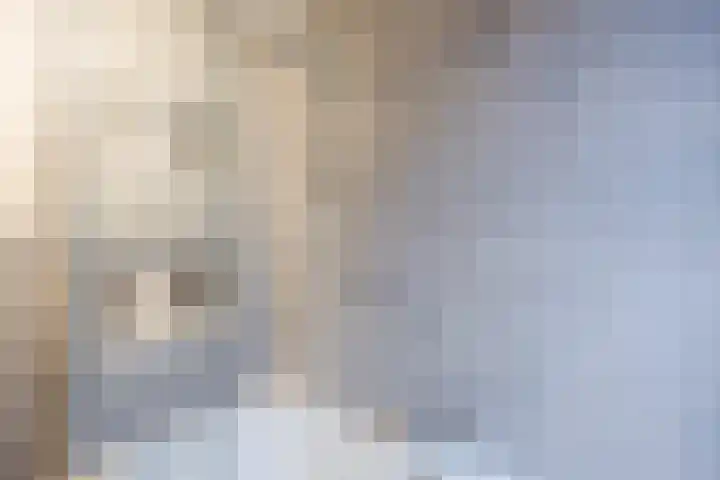 Schepenhoek 213 Uden thumbnail 31