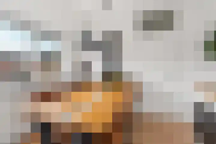 Schepenhoek 213 Uden thumbnail 33