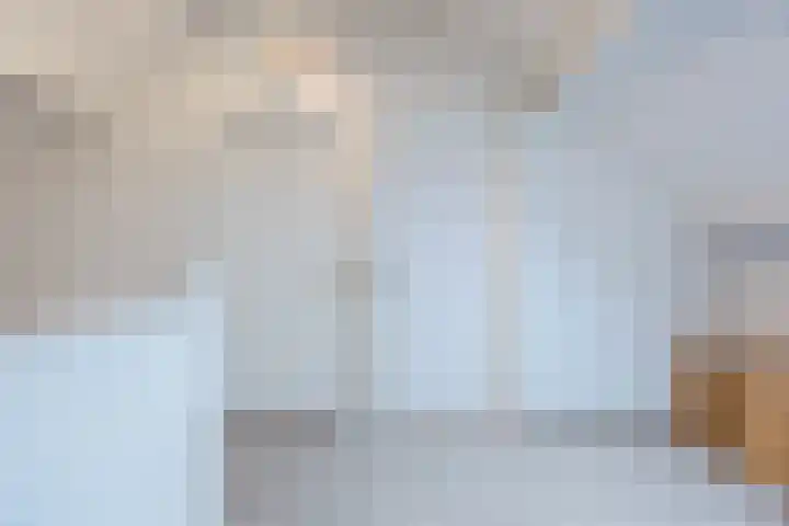Schepenhoek 213 Uden thumbnail 38