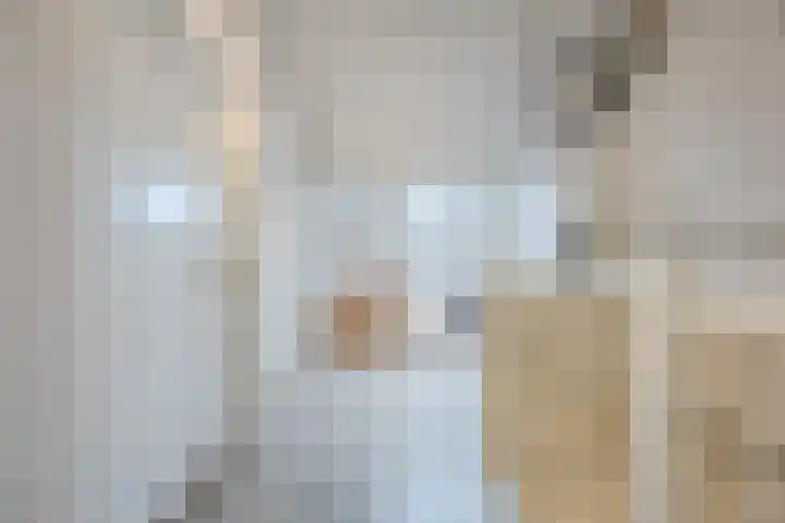 Schepenhoek 213 Uden thumbnail 39