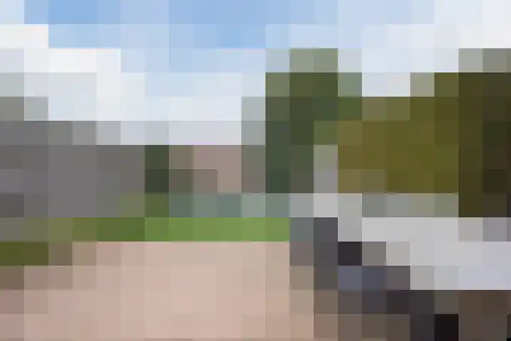 Schepenhoek 213 Uden thumbnail 43
