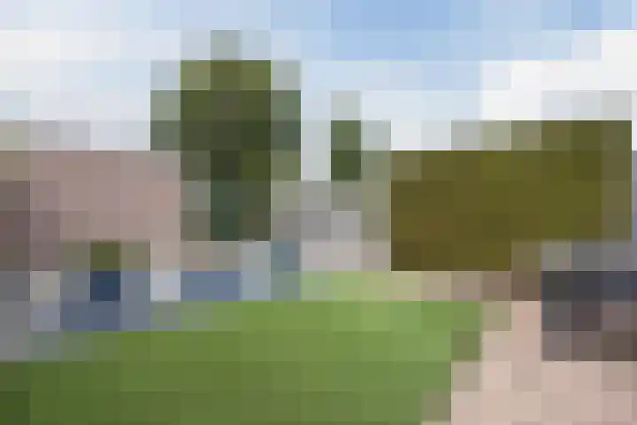 Schepenhoek 213 Uden thumbnail 44