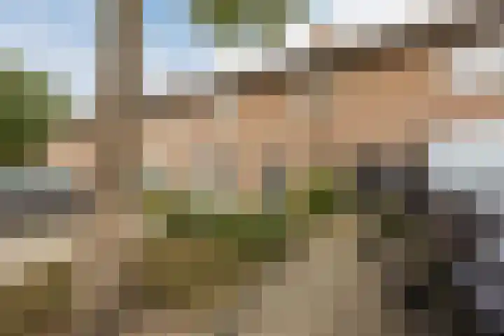 Schepenhoek 213 Uden thumbnail 6